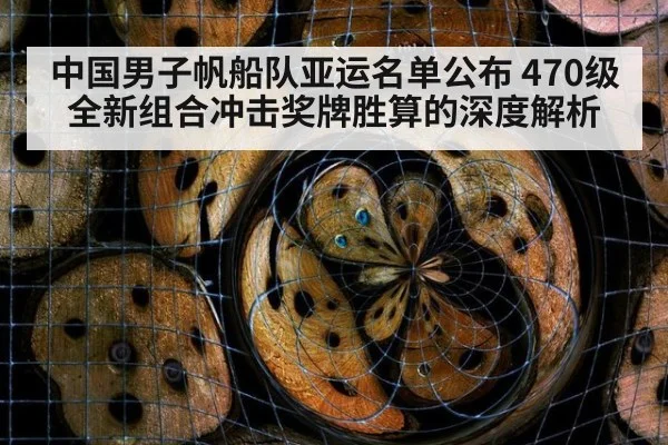 中国男子帆船队亚运名单公布 470级全新组合冲击奖牌胜算的深度解析